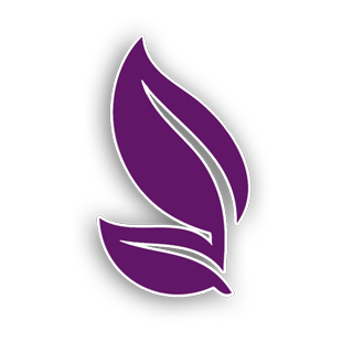 Логотип загрузки заведения Rayhon